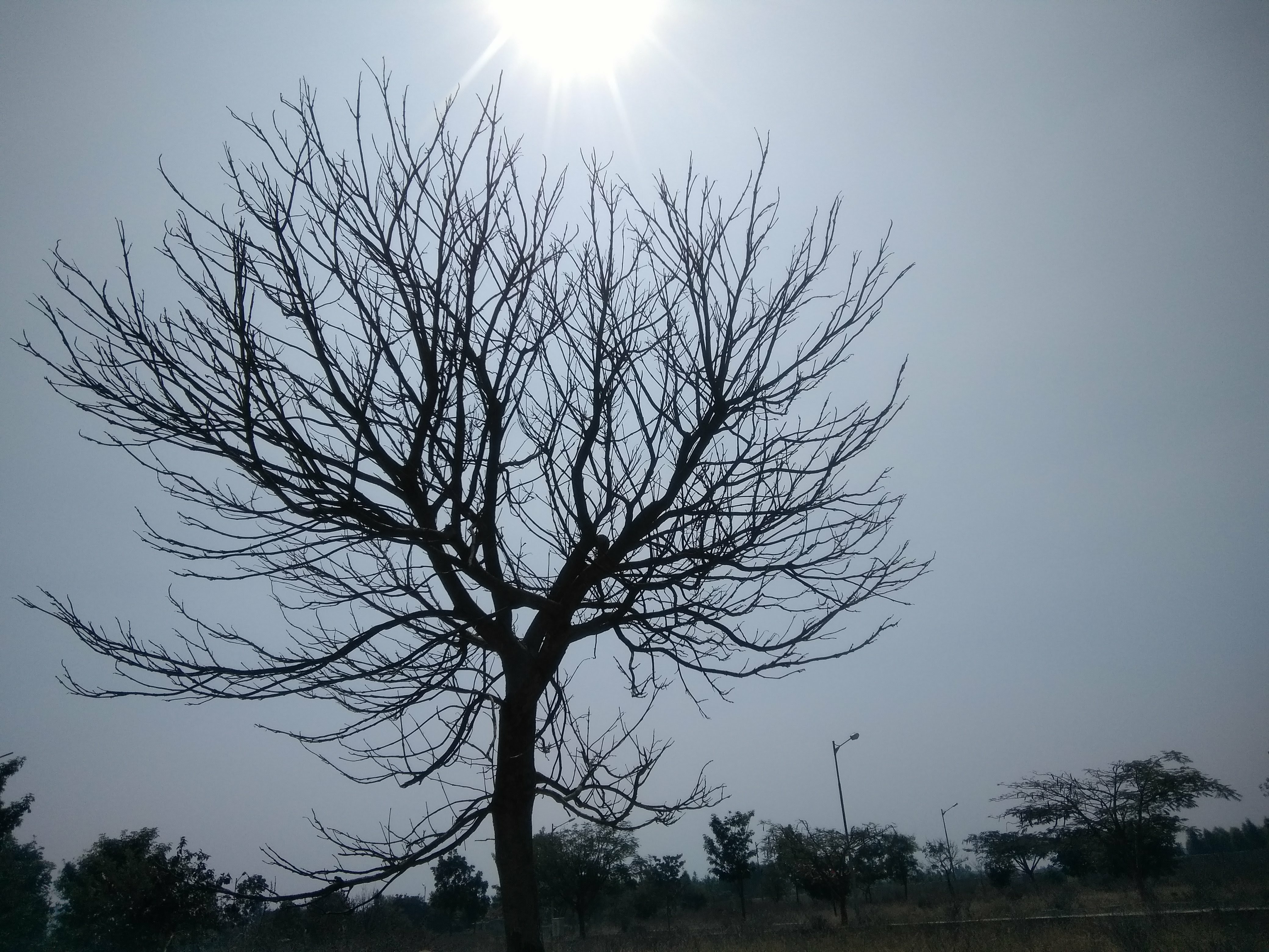 Commanders Glory Apartments